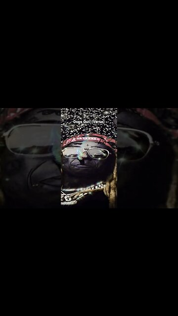 Lil Wayne - Dogs Out! (Verse) (2021) (432hz)