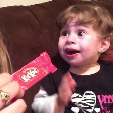 Little Girl Is Delighted That Her Mom Has Another KitKat For Her To Eat!