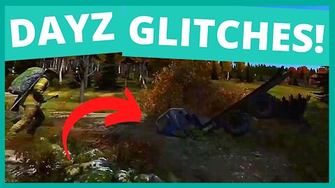 WE LOST THE BRAKES! - DayZ SA glitch hilarity