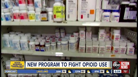 Tampa Police looking to create opioid diversion program for low-level drug offenders