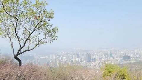 미세먼지 서울