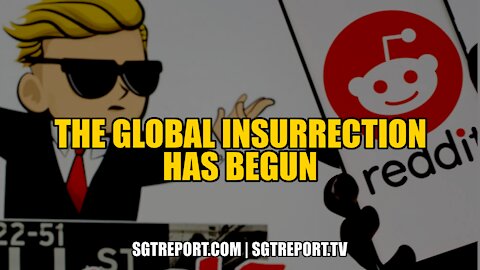 THE GLOBAL INSURRECTION HAS BEGUN