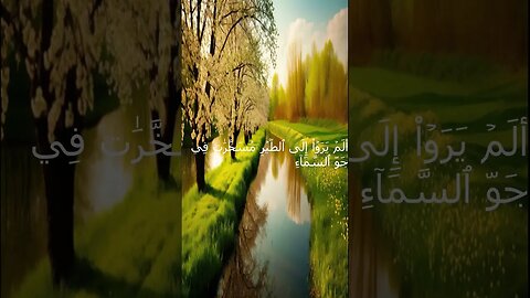 سورة النحل الاية 78 الى 79 #shorts