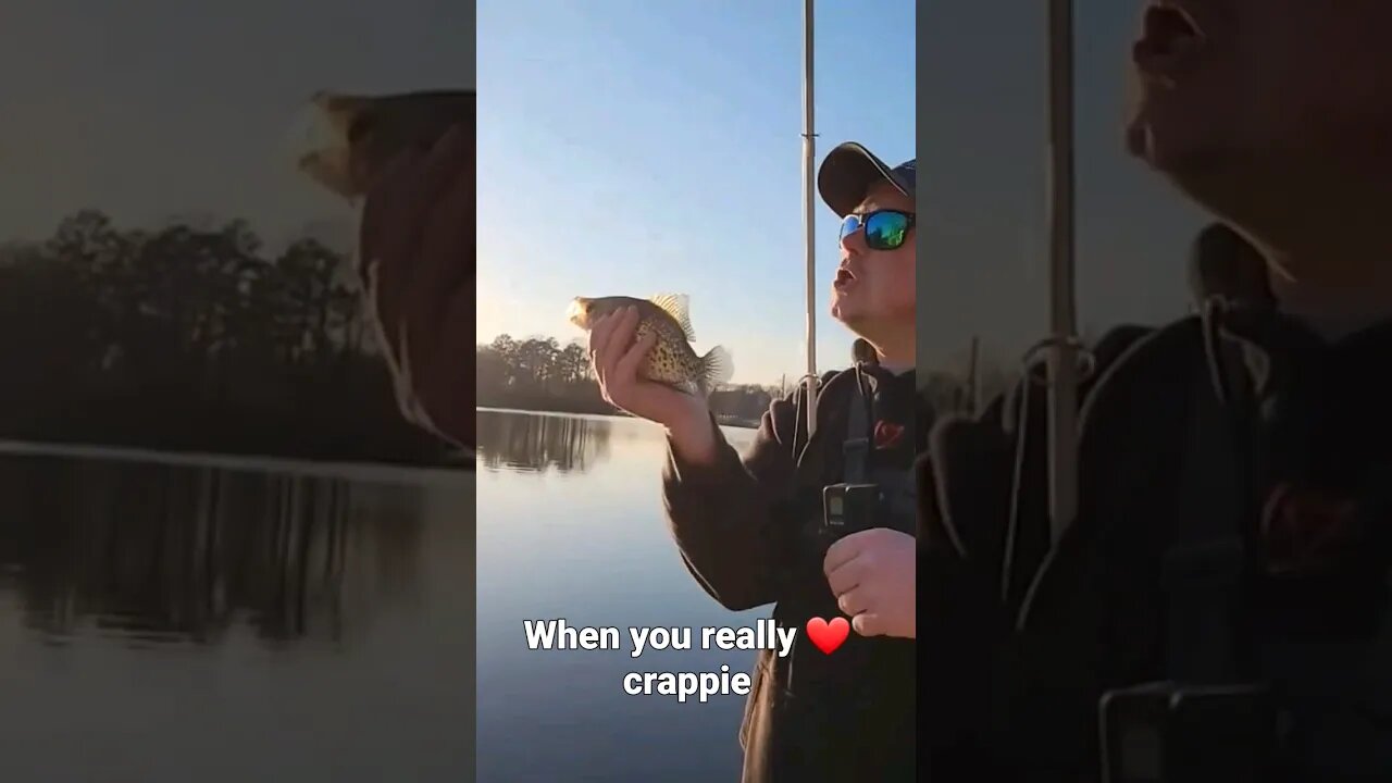 when you really love crappie #crappiefishing #crappies #crappiefishing #shorts