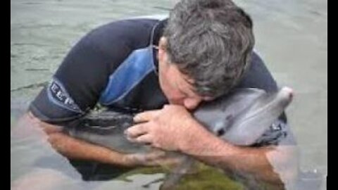 Dolphin Rescued By a Man In Cold Weather