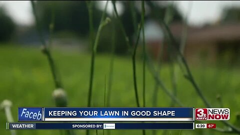 Keeping Your Lawn In Good Shape