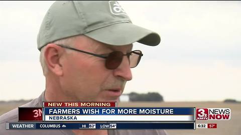 Lack of moisture 'dampens' plans for farmers