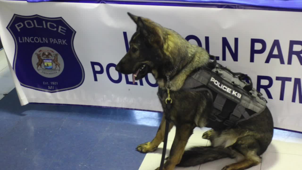 Donations from family in Taylor helping police K9 units in honor of daughter who passed away