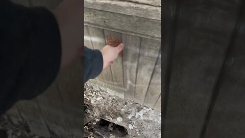 Saving power in an abandoned church