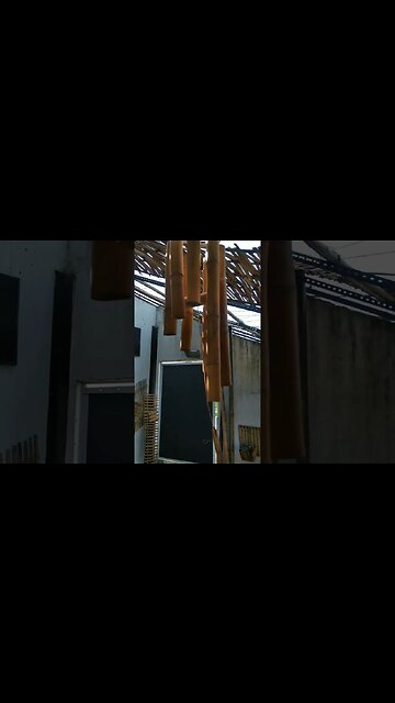 sino dos ventos #shorts