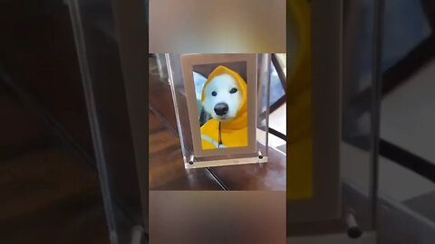 Youtube needs this.. 😊