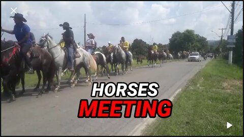 Horse Meeting - Magé - Rio de Janeiro