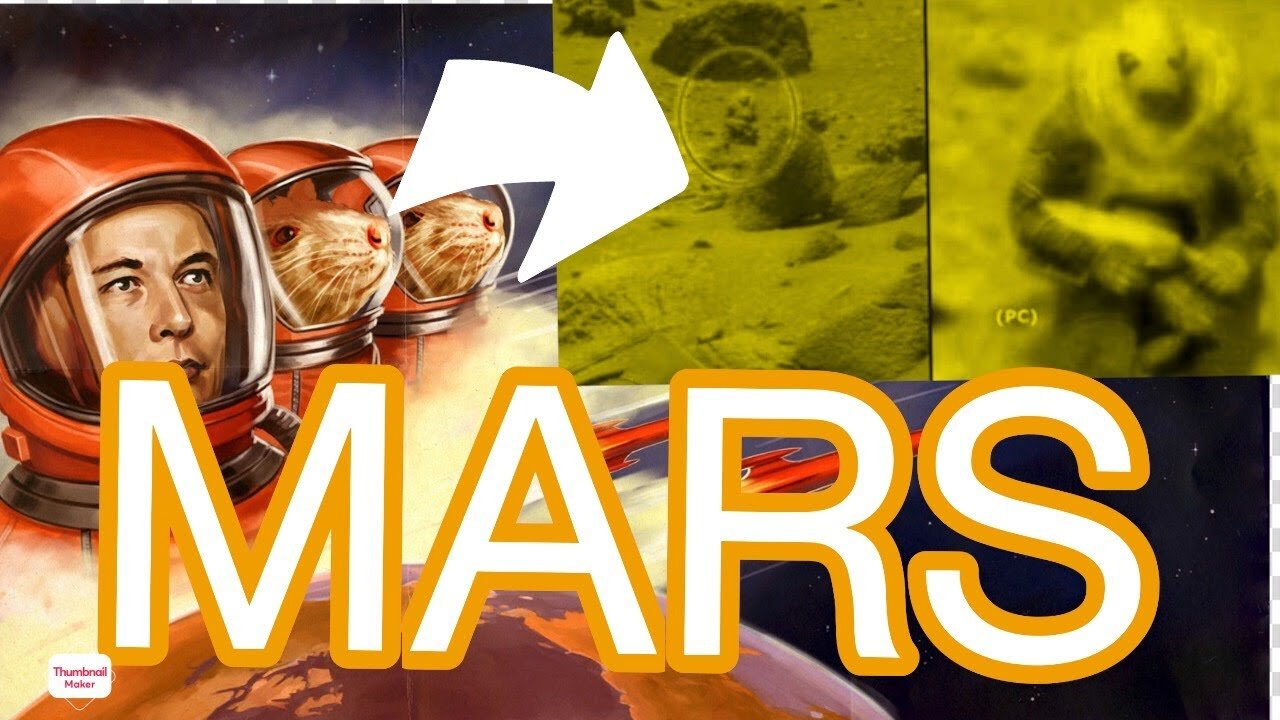 Will SpaceX really go to Mars ?