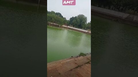 WhatsApp status natural beauty