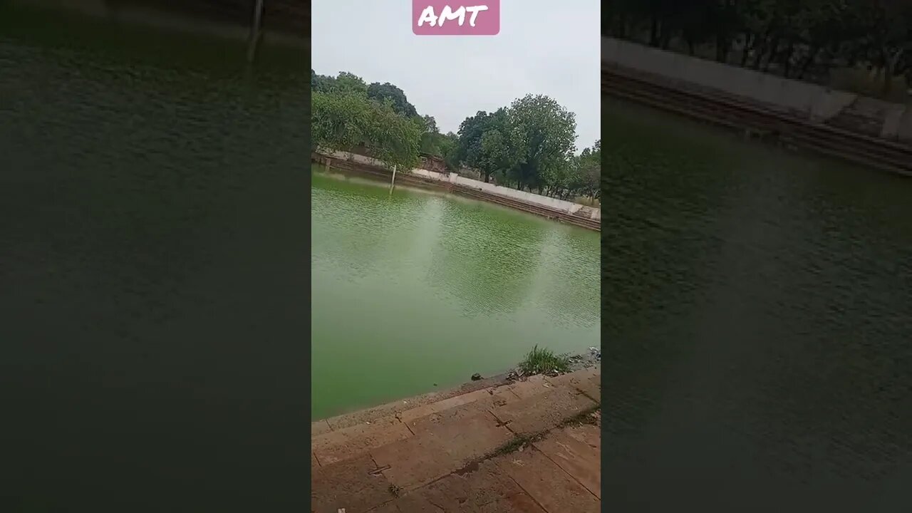 WhatsApp status natural beauty