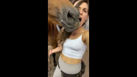 Funny Rescue Horse