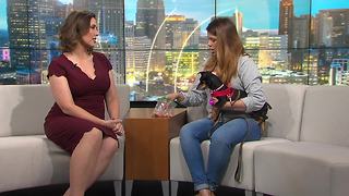 Pet of the Week - Zuki