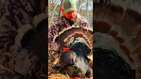 Nice Beard! #TURKEYHUNTING