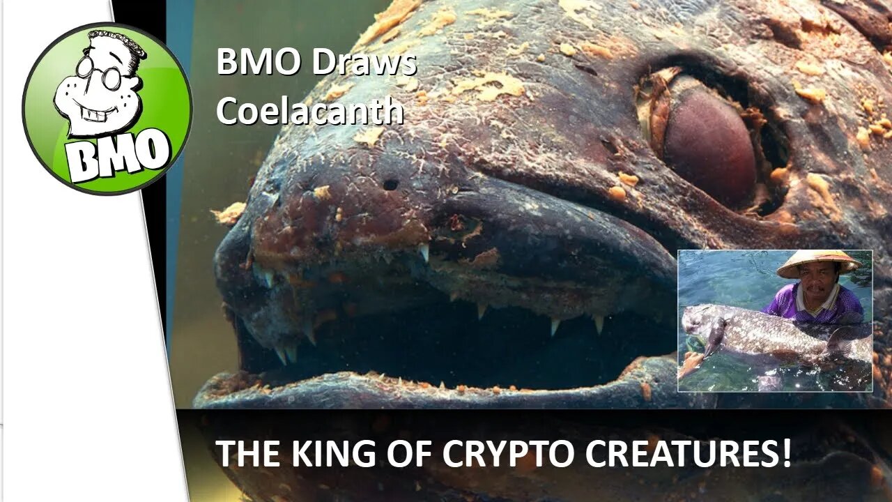 BMO Creative Crypto Video - Coelacanth