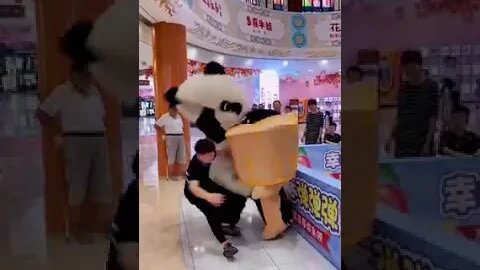 باندا