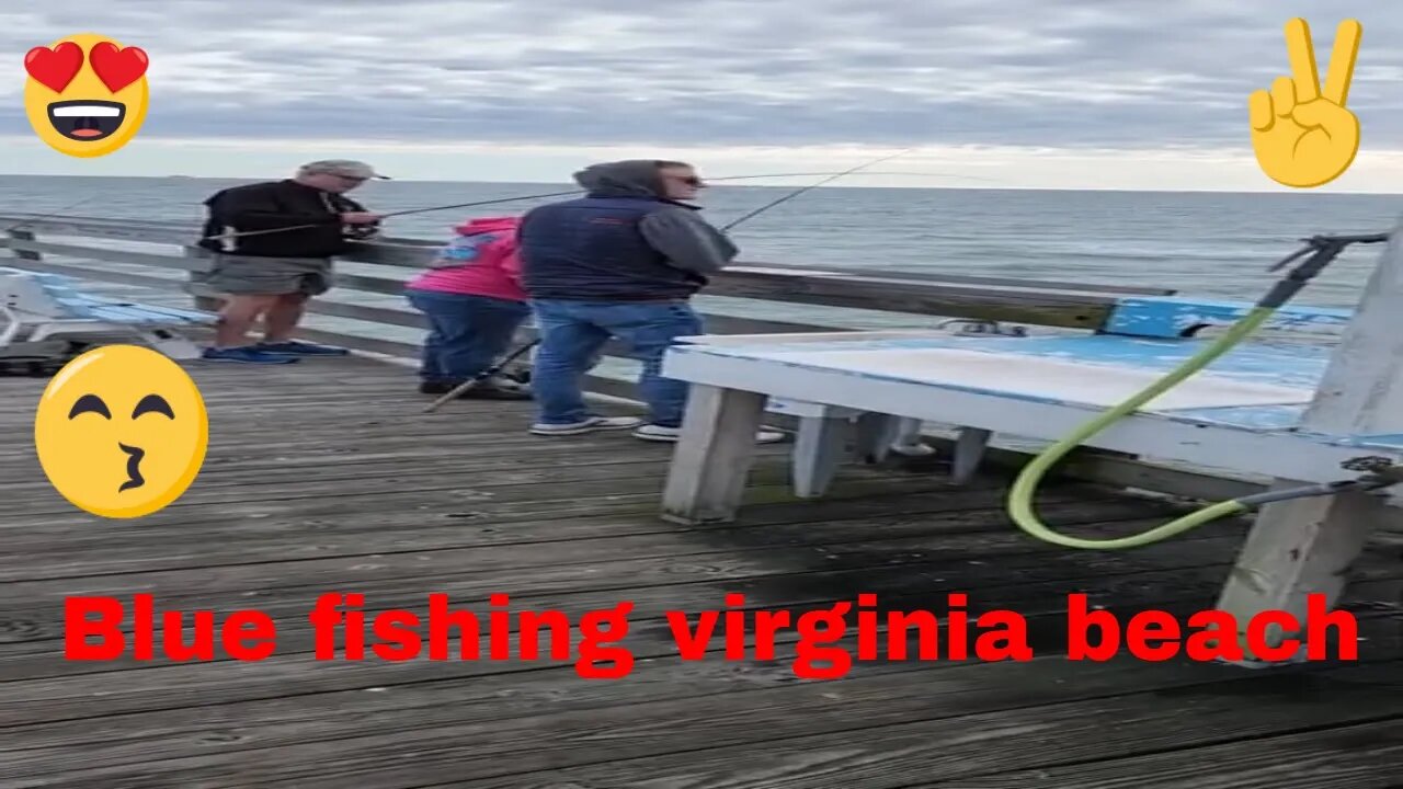 Blue fishing Virginia Beach # shorts # Virginia beach