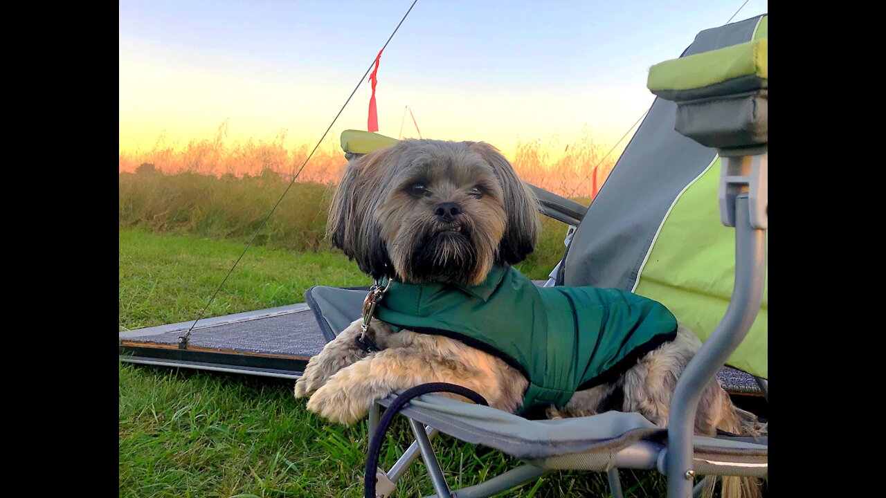 Chewbacca’s Elvis Lip! Rebel Field Fly-In spectator!