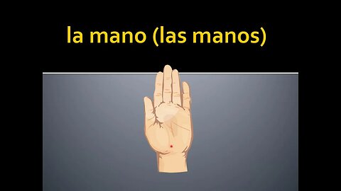 Spanish: El cuerpo