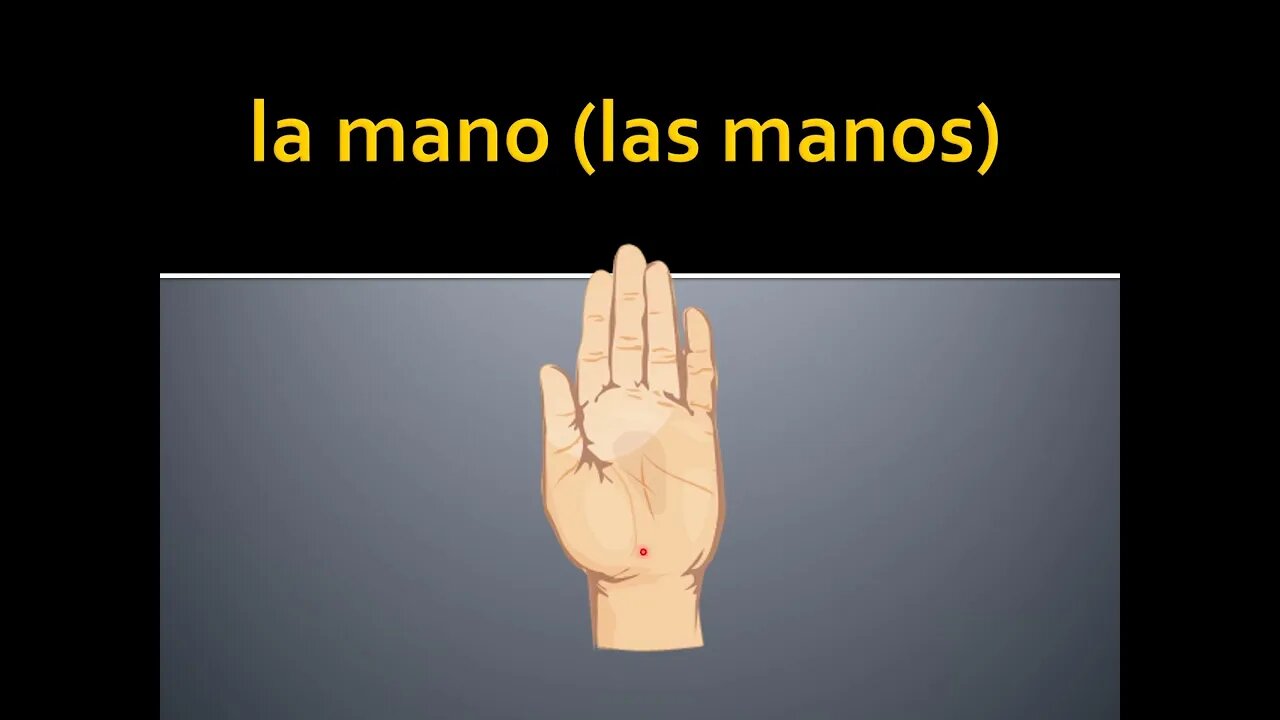 Spanish: El cuerpo