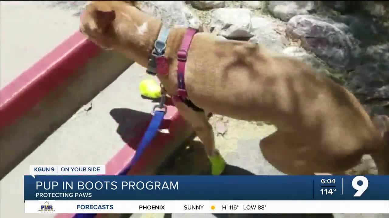 “Pups In Boots” protects paws---and more