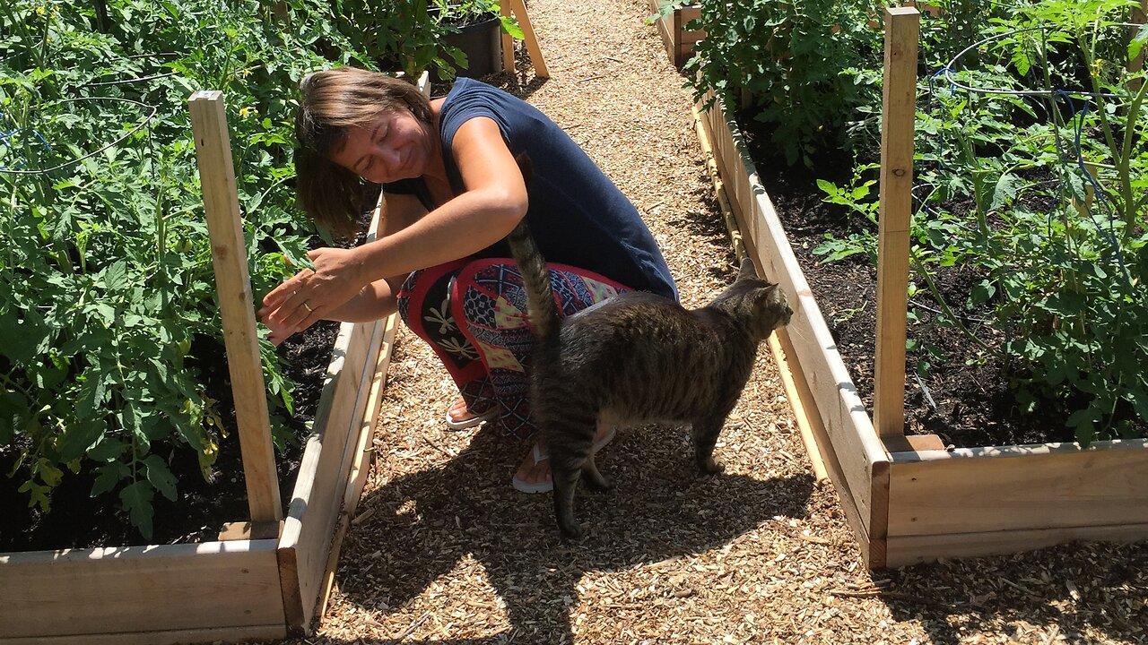 Fluffy's First Day Home