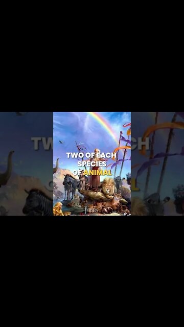 The Mystery Behind Noah's Ark | Mythical Madness