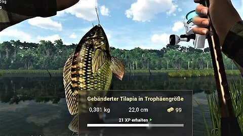 Fishing Planet Folge 654 Kongo Fischliste Teil 3