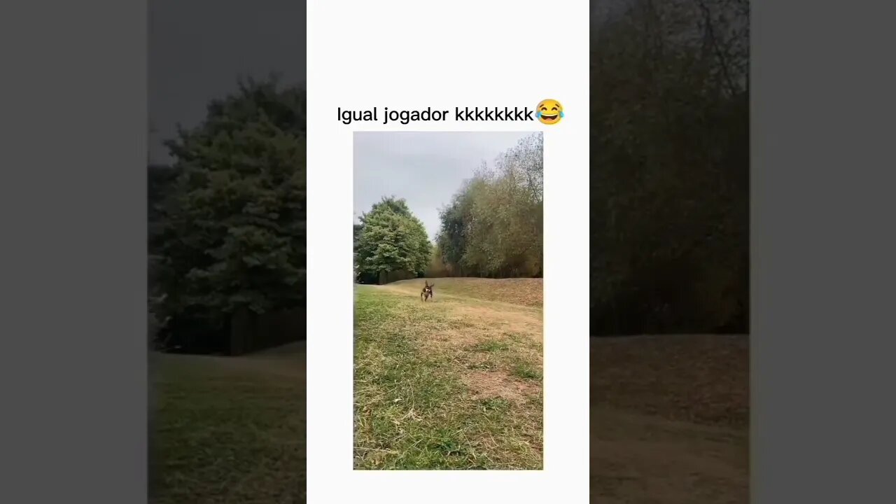 neimar perdeu feio kkkk#shorts #shortsvideo #neimar_jr_status_video_ronaldo_status #neimar