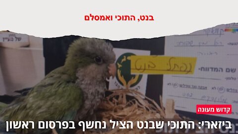 מוקדש למי שפספס את הבדיחה של אמסלם על בנט והתוכי