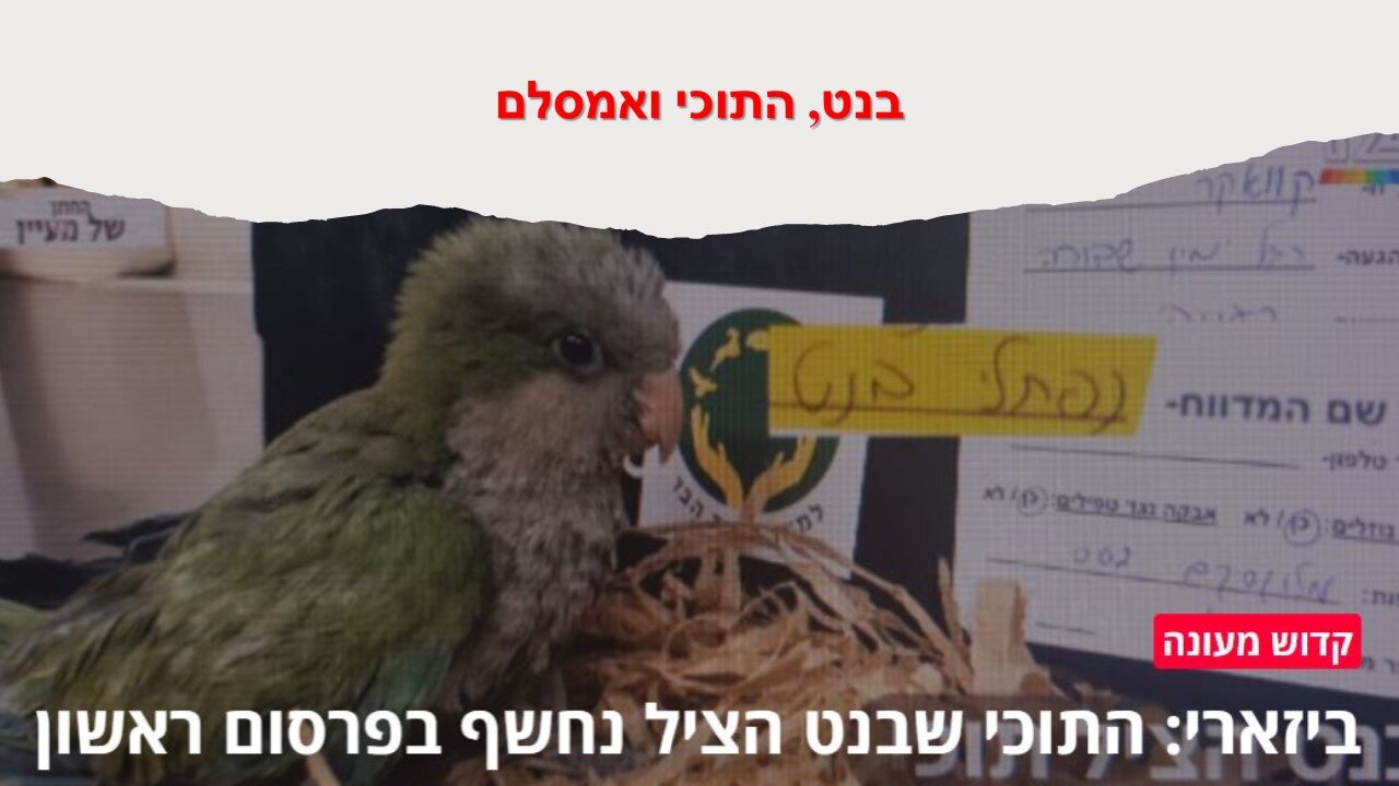 מוקדש למי שפספס את הבדיחה של אמסלם על בנט והתוכי