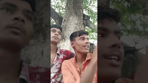 shamaru ka beta ka shadi // cg comedy video // cg pagals vrv