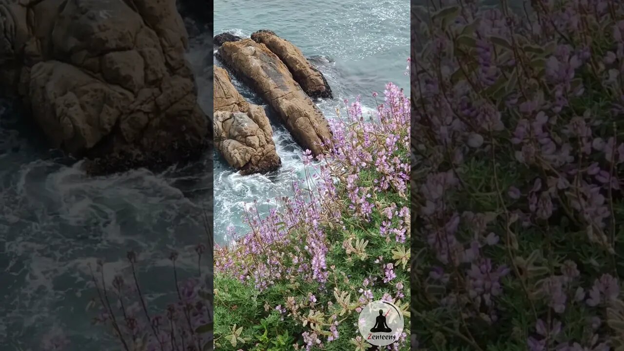 Turbulent Waves Crashing Against Rocks | Fort Ross State Historical Park, California