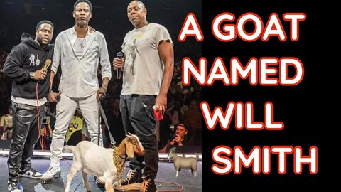 Kevin Hart Gifts Chris Rock A Goat & Names It Will Smith Ft Dave Chapelle #Shorts