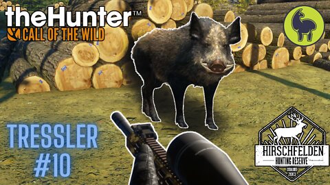 Tressler #10 Hirschfelden | theHunter: Call of the Wild (PS5 4K)