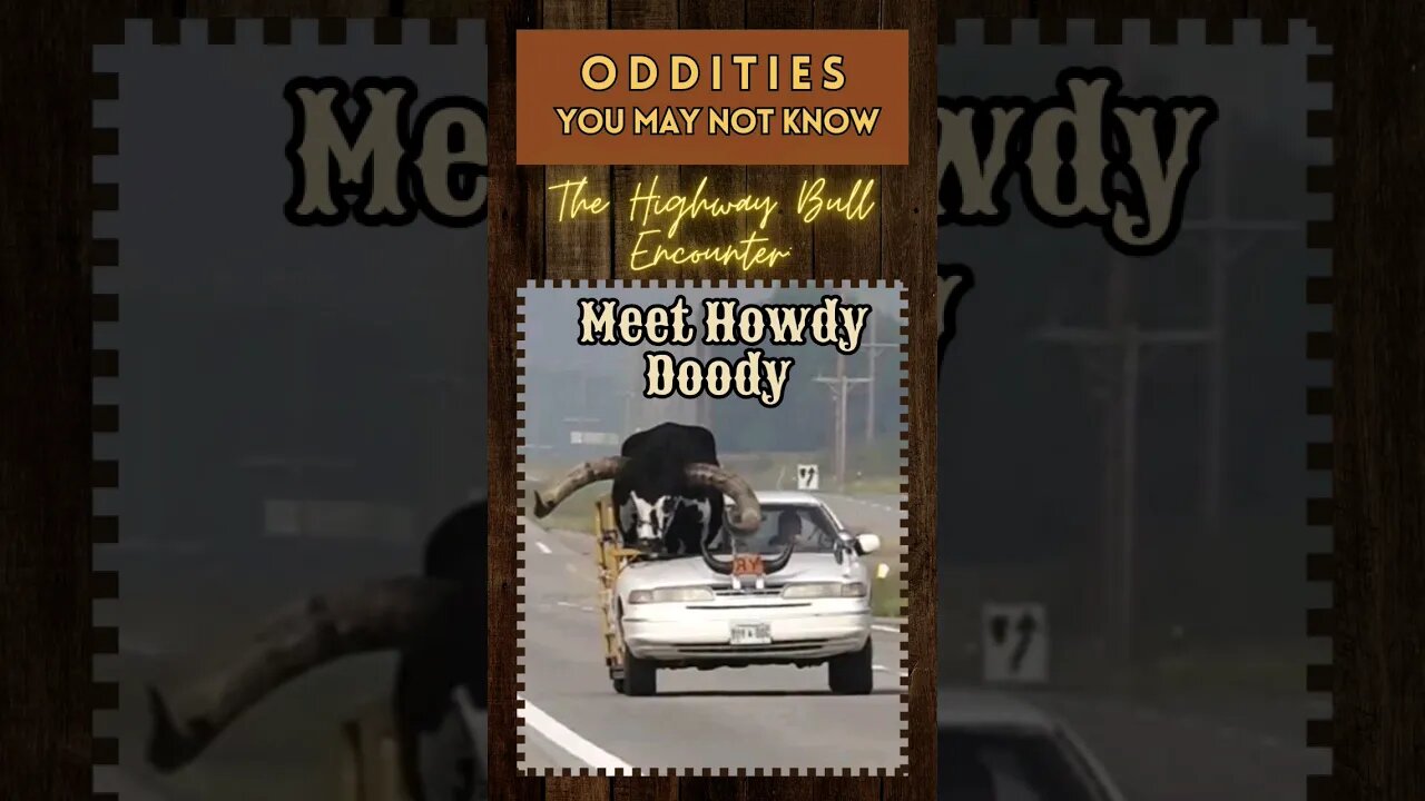 Oddities: The Highway Bull Edition, Meet Howdy Doody. 🤠 #youtubeshorts #Travel #farming #bull