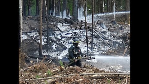 Feu de forêt dans le secteur de Jersey Mills 175e rue
