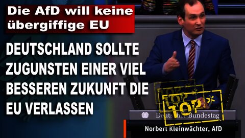 Die AfD will keine übergiffige EU, Norbert Kleinwächter, AfD