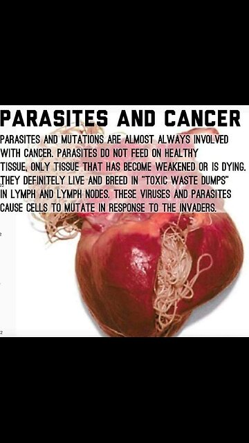 Here's why Ginger could be your new Best Friend!