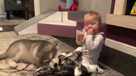 Baby And Puppy Growing Up Together!