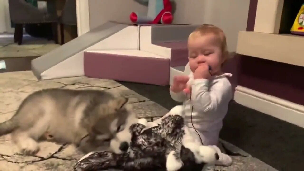 Baby And Puppy Growing Up Together!
