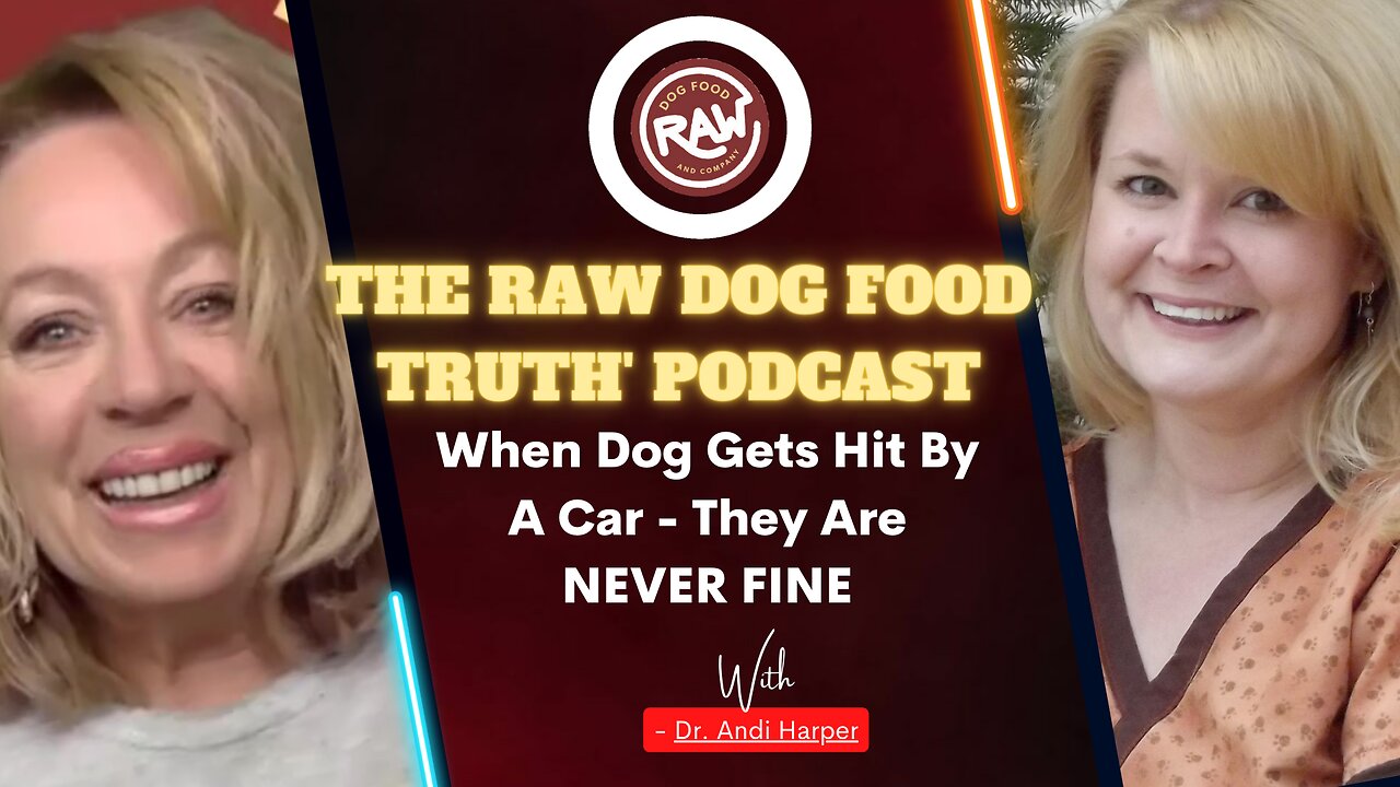 When Dog Gets Hit By A Car - They Are NEVER Fine