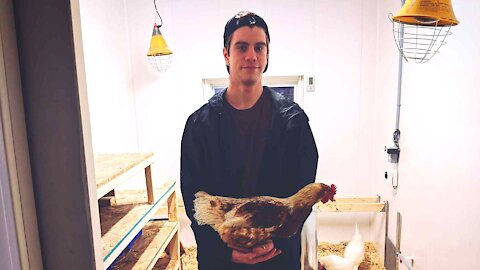 Entrevue Justin Roy - Projet poulailler Rêves d'enfants