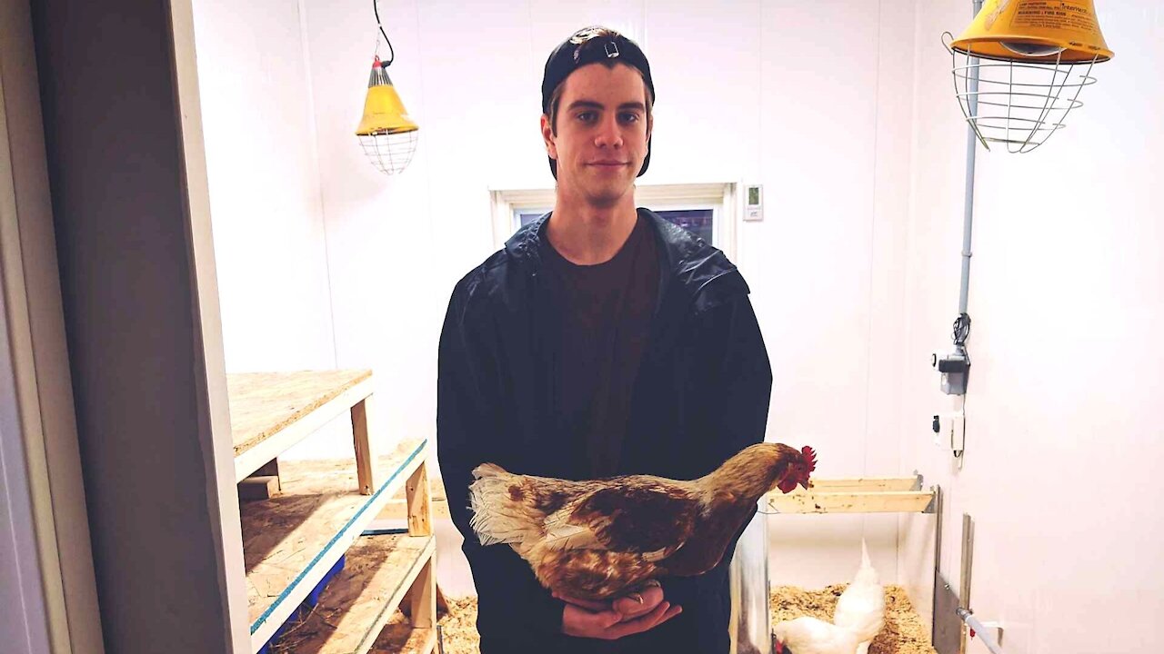 Entrevue Justin Roy - Projet poulailler Rêves d'enfants
