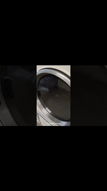 Hey, Watch My Laundry #shorts -- Episode 39