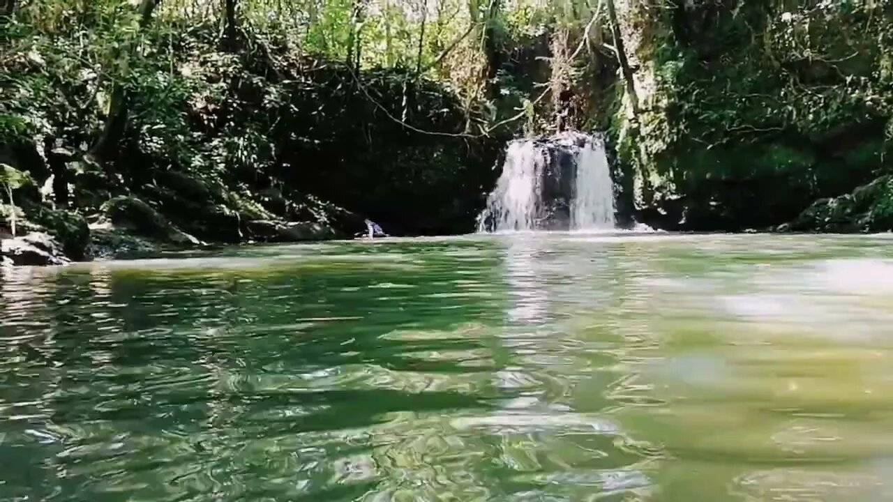 Twin Falls Picnic